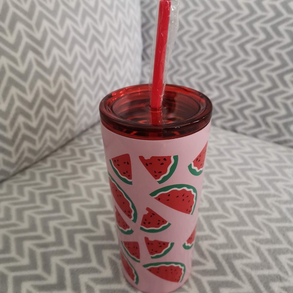 Indigo watermelon 🍉 insulated cup with straw